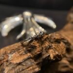 CHROME HEARTS Three Cross Flower Ring（CHROME HEARTS 281） - 图片 3