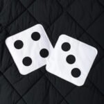 Stussy Dice Quilted Liner Jacket "Black"（115652） - 图片 13