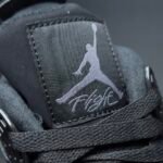 【LJR】Nike Air Jordan 4 "Black Cat" LJR（CU1110-010） - 图片 4