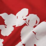 DENIM TEARS The Cotton Wreath Sweatshirt （Available in multiple colors）16 colors (301-110-30） - 图片 10