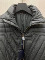 Louis Vuitton down jacket（1AGIOO） - 图片 8