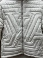 Louis Vuitton down jacket（1AGIOO） - 图片 16