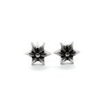 CHROME HEARTS Hexagram Earrings（CHROME HEARTS 112）