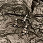 CHROME HEARTS Cross Necklace（CHROME HEARTS 148） - 图片 5