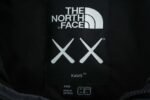 THE NORTH FACE x XX Kaws joint model FW22 1996 Nuptse Jacket down jacket（NF0A7WLU-7IL） - 图片 8