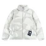 THE NORTH FACE x XX Kaws joint model FW22 1996 Nuptse Jacket down jacket（NF0A7WLU-944）