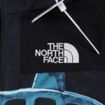 Supreme / The North Face Statue of Liberty Mountain Jacket "Black"（SUP-FW19-905） - 图片 3