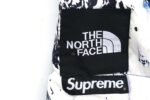 Supreme x THE NORTH FACE joint down jacket（SUP-SS18-599） - 图片 6