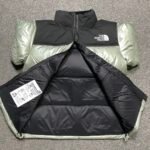 THE NORTH FACE★NOVELTY NUPTSE DOWN JACKET（NJ1DP62N） - 图片 6
