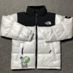 THE NORTH FACE★NOVELTY NUPTSE DOWN JACKET（NJ1DP62L）