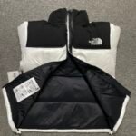 THE NORTH FACE★NOVELTY NUPTSE DOWN JACKET（NJ1DP62L） - 图片 3