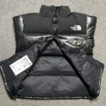 THE NORTH FACE★NOVELTY NUPTSE DOWN JACKET（NJ1DP62J） - 图片 7