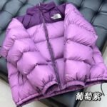 The North Face 1996 Retro Nuptse Jacket -Multicolor display（NF0A3C8D-LE4） - 图片 15