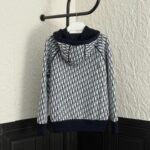 DIOR Men's SS21 Loose Zipper Hooded Jacket Navy Blue（113M221AT225-C585） - 图片 2