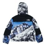 Supreme x THE NORTH FACE joint down jacket（SUP-SS18-599） - 图片 2