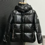 Moncler Parana Series Down Jackets（0931A51N00C0067999）
