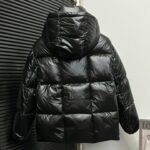 Moncler Parana Series Down Jackets（0931A51N00C0067999） - 图片 2