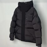 Moncler Madeira nylon down jacket-3 color expansion（H20911A0010953334000） - 图片 3
