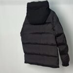 Moncler Madeira nylon down jacket-3 color expansion（H20911A0010953334000） - 图片 5
