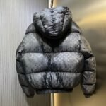 Louis Vuitton Monogram Down Jacket（1AGIRD） - 图片 2