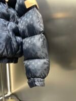 Louis Vuitton Monogram Down Jacket（1AGIRD） - 图片 4