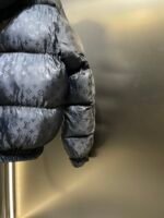 Louis Vuitton Monogram Down Jacket（1AGIRD） - 图片 7