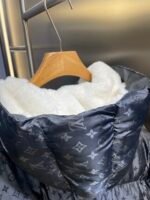 Louis Vuitton Monogram Down Jacket（1AGIRD） - 图片 12