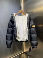Louis Vuitton Monogram Down Jacket（1AGIRD） - 图片 10