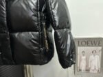 Moncler Parana Series Down Jackets（0931A51N00C0067999） - 图片 8