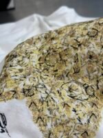 DIOR T-Shirts（513T09G4218-X0894） - 图片 9