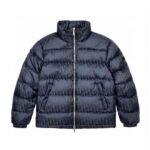 Dior Oblique technical jacquard  Puffer jacket（943C449A4462-C989） - 图片 2