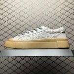 Dior x Stone Island B33 Sneaker Limited Edition "Gray"（3SN303ZAM_H812）