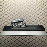 Dior Aqua Sandals (3SA167ZSA_H961)