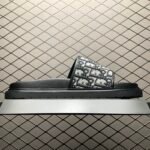 Dior Aqua Sandals (3SA167ZSA_H961) - 图片 2