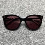 Louis Vuitton MY MONOGRAM FAME CAT EYE Sunglasses (Z2155U) - 图片 3