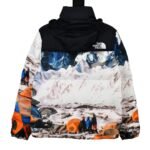 The North Face x Invincible Nuptse Jacket NF0A4NDO-S58（NF0A4NDO-S58） - 图片 2