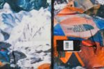 The North Face x Invincible Nuptse Jacket NF0A4NDO-S58（NF0A4NDO-S58） - 图片 8