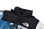 The North Face x Invincible Nuptse Jacket NF0A4NDO-S58（NF0A4NDO-S58） - 图片 4