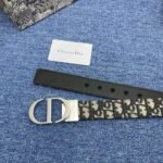 Christian Dior ディオール LOGO ベルト - 图片 6
