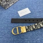 Christian Dior ディオール LOGO ベルト - 图片 6
