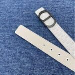 Christian Dior ディオール LOGO ベルト - 图片 6