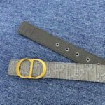 Christian Dior ディオール LOGO ベルト - 图片 6