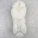 BALENCIAGA TRIPLE S CLEAR SOLE SNEAKER バレンシアガ クリアソール スニーカー - 图片 9