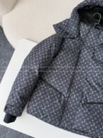 Louis Vuitton Ski Series FW25 Cotton Clothes - 图片 3