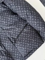Louis Vuitton Ski Series FW25 Cotton Clothes - 图片 7