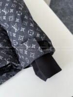 Louis Vuitton Ski Series FW25 Cotton Clothes - 图片 18