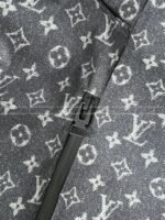 Louis Vuitton Ski Series FW25 Cotton Clothes - 图片 14