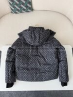 Louis Vuitton Ski Series FW25 Cotton Clothes - 图片 9