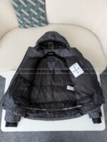Louis Vuitton Ski Series FW25 Cotton Clothes - 图片 4